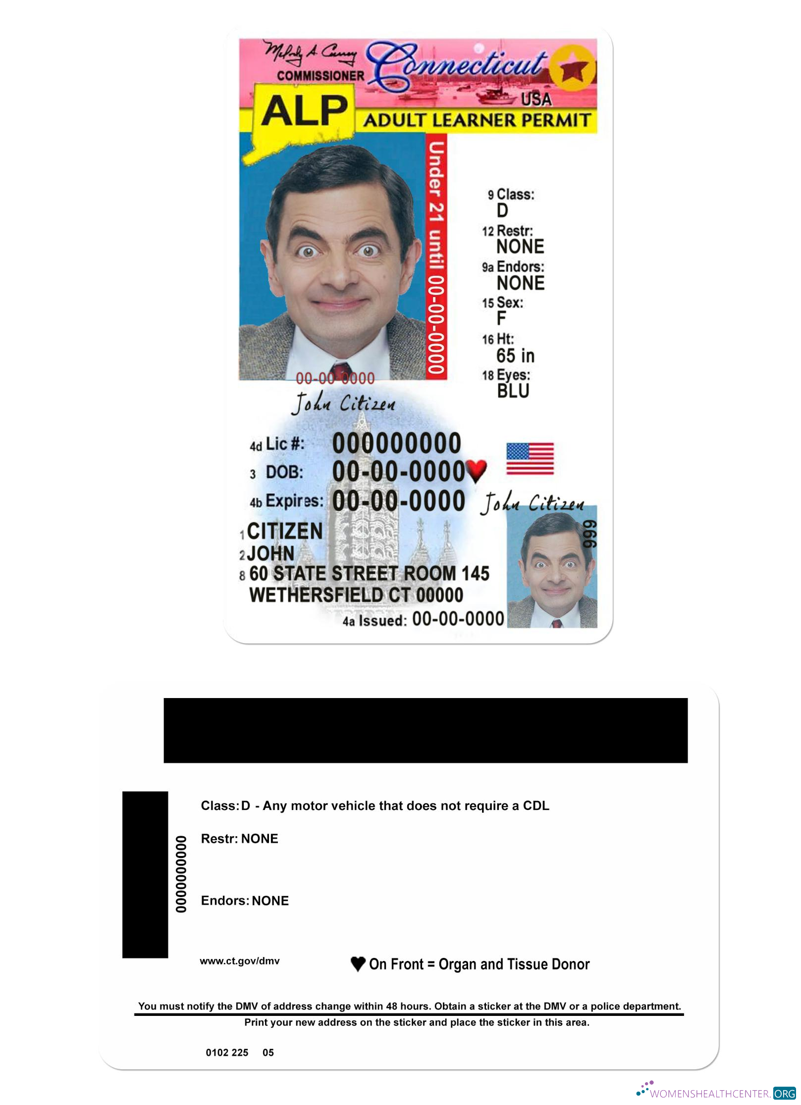 download USA Connecticut driving license under 21